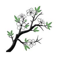 Outline of Wild Plum Tree vector