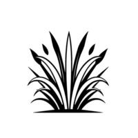 Stylized black and white illustration of tall grass and foliage with a symmetrical, geometric on a solid white background. vector