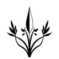Stylized, symmetrical black and white botanical illustration featuring an upright plant with spearlike central element and curved leaf branches. vector
