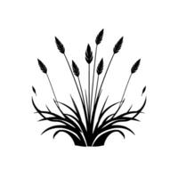 Stylized Black Wheatgrass Silhouette A symmetrical composition of tall stalks with feathery heads and arching blades. vector