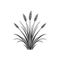 Stylized Black and White Illustration of Wheat Stalks and Grasses, Botanical Line Art on White Background. vector