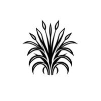 Stylized Black White Botanical Illustration of a Lush Plant with Linear Leaves and Budding Stalks, on White Background. vector