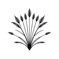 Elegant Black and White Illustration of WheatGrass in a symmetrical fanlike arrangement, isolated on white. vector