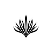 A minimalist, symmetrical, black and white illustration of a stylized, symmetrical plant, with sharp, elongated leaves radiating outwards from a central point, set against a plain white backdrop. vector