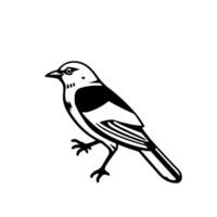 Illustration of a Stylized Songbird in Profile, Depicted in Bold Black Lines Against a Clean White Background, Emphasizing Form. vector