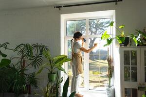 Woman in apron manually washes th windowhouse with rag cleaner and mop inside the interior with home plants on windowsill. Restoring order and cleanliness in the spring, cleaning servise photo