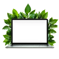 Laptop with Green Leaves Frame Isolated on Transparent Background png