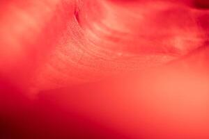 Abstract of shiny red silk White wrinkled fabric background texture and Texture with copy space ,Creased or wrinkled white fabric,Soft focu photo