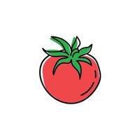 Sketches of tomatoes with red and green color spots vector