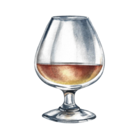 A glass of cognac. Handmade watercolor illustration. A color image of an alcoholic beverage. Separate from the background. Perfect for menus, banners, flyers, packages, labels, invitations, and more. png