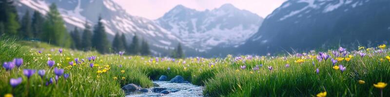 Mountain valley with wildflowers and stream in springtime landscape nature scene photo