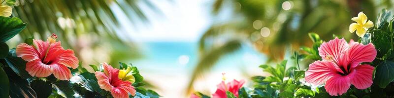 Vibrant hibiscus flowers with tropical beach background for summer concepts photo