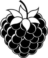 Raspberry Illustration Fresh Juicy Raspberry Clipart on White Background vector