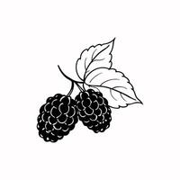 Mulberry Fruit on White Background High-Quality Stock Image for Commercial Use vector