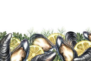 Banner frame with mussels, lemon and greens. Handmade watercolor illustration. A color image of a seafood template. For menus, invitations, packages, labels and recipes. png