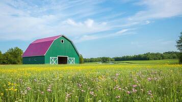 Vibrant green barn amidst blooming wildflower meadow under blue sky photo