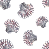 Seamless scallop pattern. A hand-drawn watercolor illustration. Color image of marine elements. Separate from the background. Ideal for textiles, fabrics, wrapping paper, printing and more. png