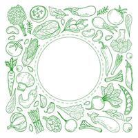 A doodle-style vegetable frame. Background image of organic products with space for text. Corn, tomatoes, beans, asparagus, peppers, carrots, radishes and other farm vegetables. vector