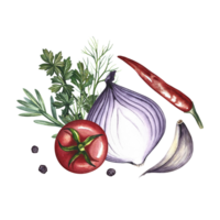 Composition with vegetables. A hand-drawn watercolor illustration. A color image of ketchup or sauce ingredients. Tomatoes, herbs, garlic, pepper and onion. For menus, recipe books, packages, labels. png