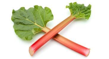 rhubarb vegetable isolated on white background with shadow. presentation of red rhubarb vegetable full of vitamins photo