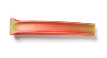 rhubarb piece on white background top view photo