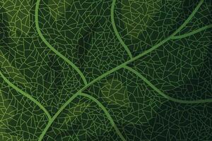 Detailed leaf vein texture background with natural patterns, perfect for organic, botanical, and eco designs vector