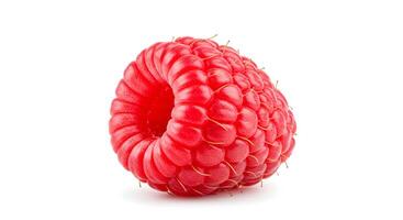Ripe red raspberry on a clean white background, a high-quality image symbolizing freshness, natural sweetness, and healthy living photo