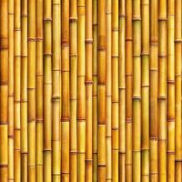 Bamboo background wallpaper featuring lush green stalks, creating a serene and natural ambiance for any space. photo