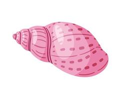 Babylon Seashell. Hand drawn trendy flat style isolated icon on a transparent background seashell. illustration vector
