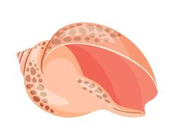 Babylon Seashell. Hand drawn trendy flat style isolated icon on a transparent background seashell icon vector