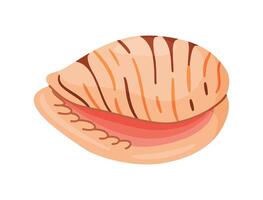 Tiger Cowrie Seashell. Hand drawn trendy flat style isolated icon on a transparent background seashell. illustration vector