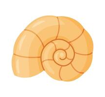 Seashell, Hand drawn trendy flat style isolated icon on a transparent background seashell. illustration vector