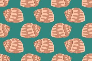 Seamless pattern with sea shells Hand drawn trendy flat style seashell. Tropical beach shells. Summer seamless pattern vector