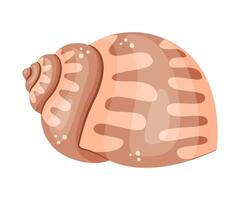 Seashell, Hand drawn trendy flat style isolated icon on a transparent background seashell icon vector