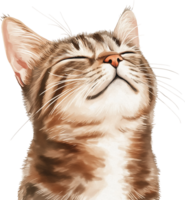 A cat is smiling with its eyes closed png
