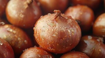 Close up of fresh onions with water droplets, natural textures and rich tones of freshness photo