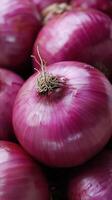Close-up view of fresh red onions with vibrant purple skin, culinary and health benefit photo