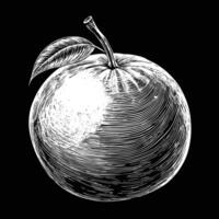 an apple is drawn in black and white on a black background vector