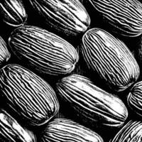 a black and white image of a bunch of nuts vector