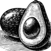 an illustration of an avocado with a slice cut out vector