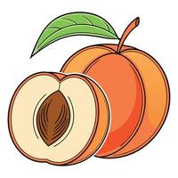an orange peach with a leaf and a half vector