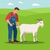 Farmer Inspecting Goat with Tool on Green Field Illustration vector
