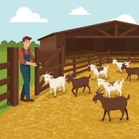 Farmer Opening Gate Letting Goats Into a Barn on a Farm vector