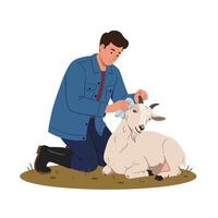 Man Wiping Down a Goat with a Cloth in an Outdoor Setting vector