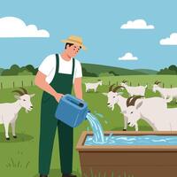 Farmer Pouring Water for Goats in a Pasture on Sunny Day vector