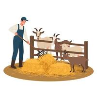 Farmer Feeding Hay to Goats in a Rural Farm Scene vector