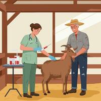 Goat Getting Vaccination by Veterinarian on Farm with Farmer vector