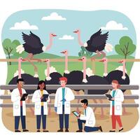 Scientists Studying Ostrich Behavior at the Farm Observation and Data Collection vector