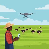 Farmer Operating Drone Over Ostriches in a Green Field Setting vector