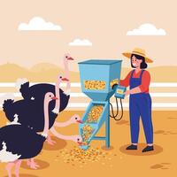Feeding Ostriches with Automated Feeder Controlled by Smiling Farm Worker vector